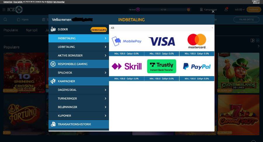 ICE36 betalingsmetoder