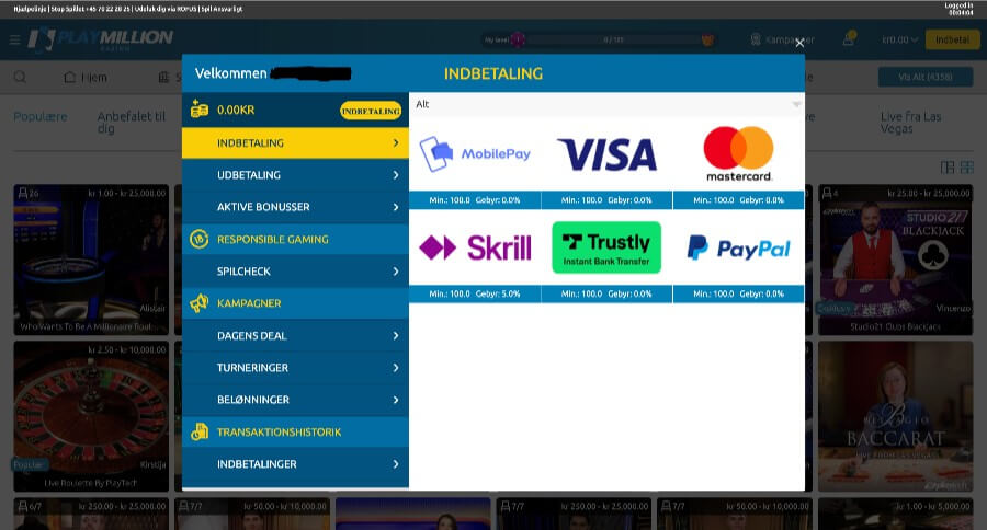 PlayMillion betalingsmetoder