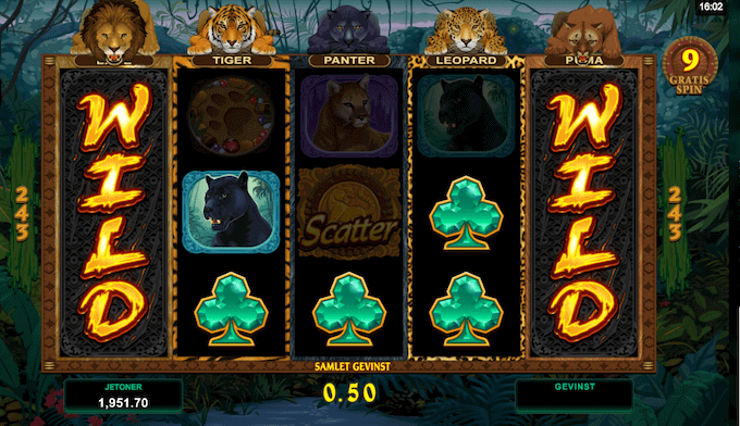 Exotic Cats free spins